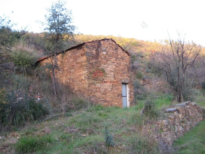 Terreno para Venda em Ermida e Figueiredo Foto 8