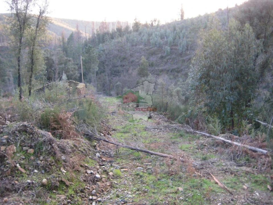 Terreno para Venda em Ermida e Figueiredo Foto 24