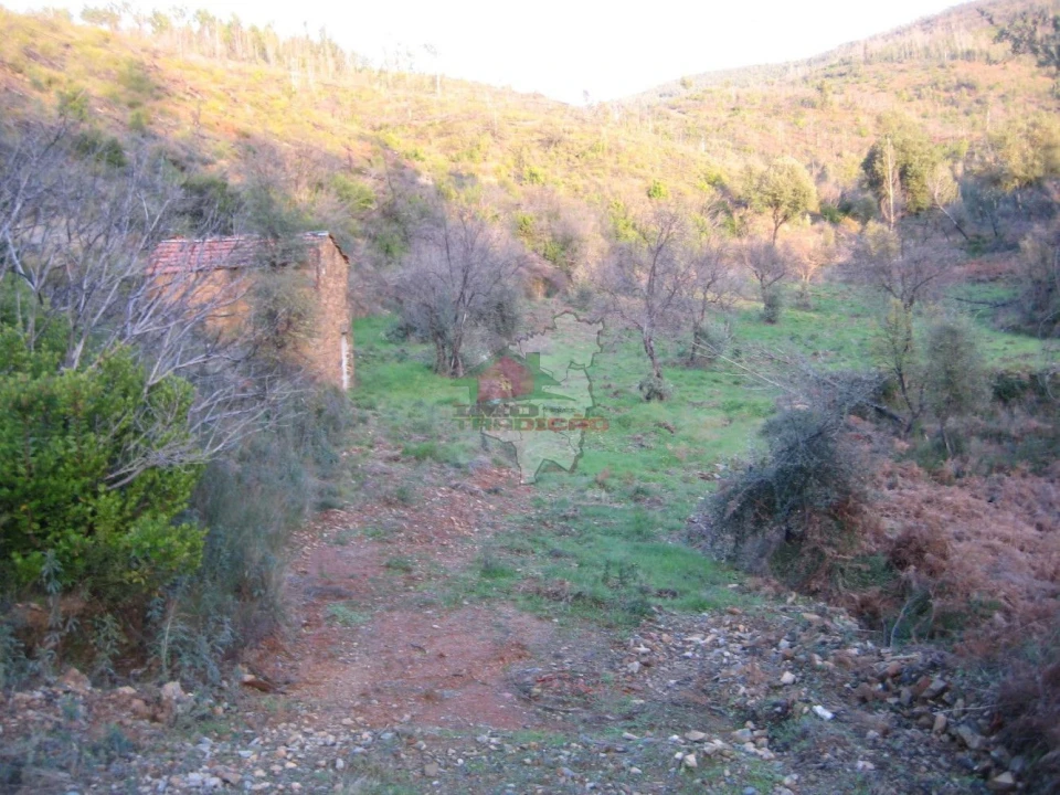 Terreno para Venda em Ermida e Figueiredo Foto 5
