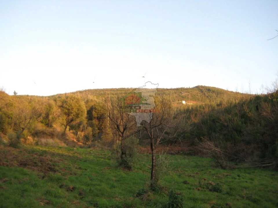 Terreno para Venda em Ermida e Figueiredo Foto 11