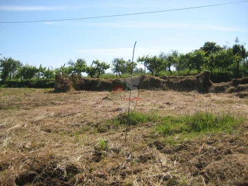 Terreno para Venda em Cabeçudo