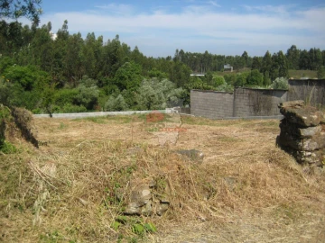 Terreno para Venda em Cabeçudo