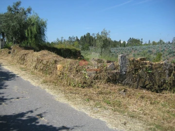 Terreno para Venda em Cabeçudo