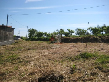 Terreno para Venda em Cabeçudo