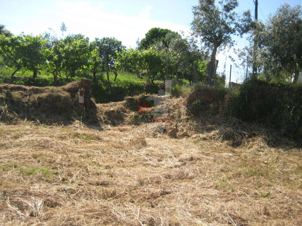 Terreno para Venda em Cabeçudo Foto 8