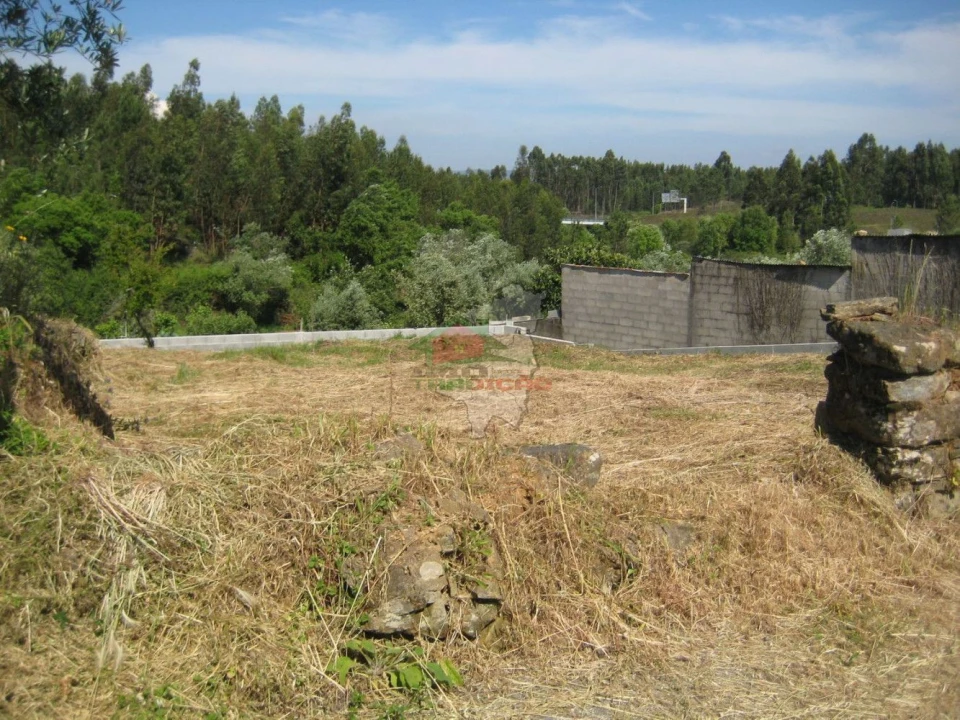 Terreno para Venda em Cabeçudo Foto 2