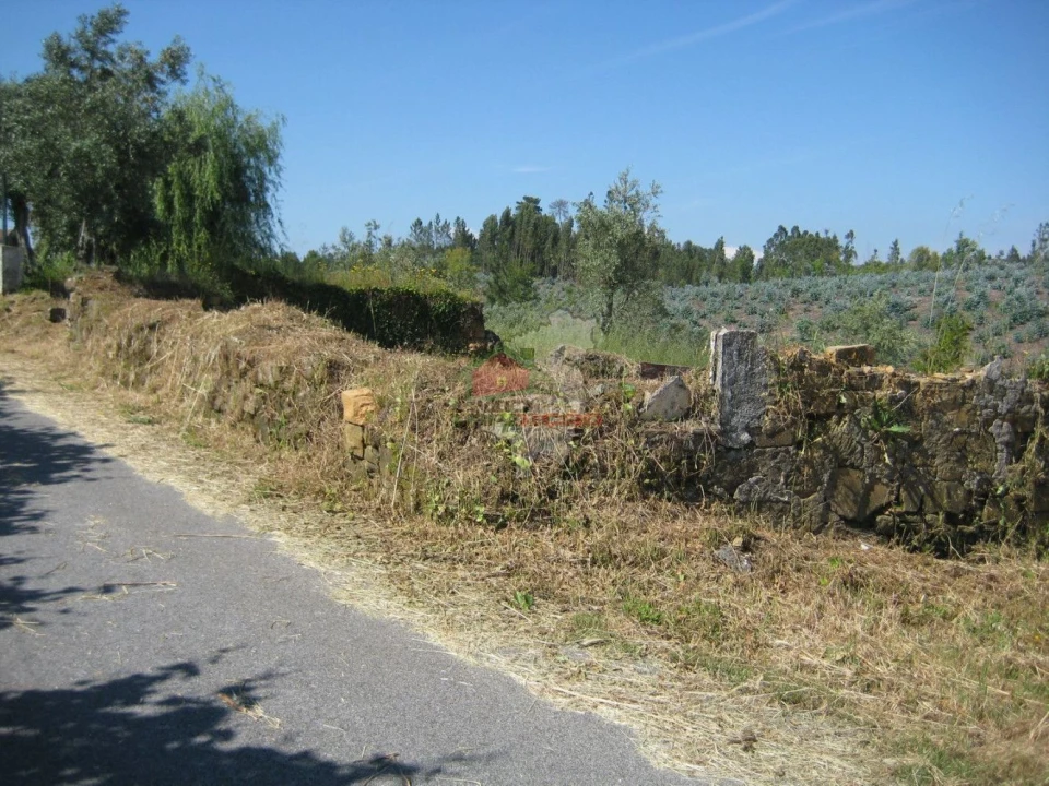 Terreno para Venda em Cabeçudo Foto 11