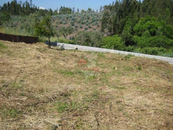 Terreno para Venda em Cabeçudo Foto 3