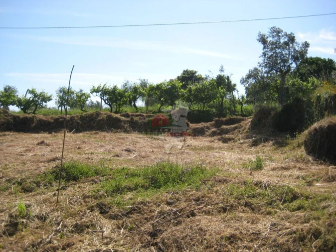 Terreno para Venda em Cabeçudo Foto 9