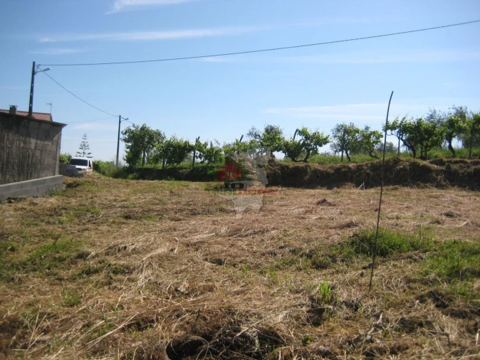 Terreno para Venda em Cabeçudo Foto 10
