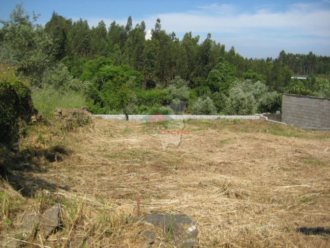 Terreno para Venda em Cabeçudo Foto 6