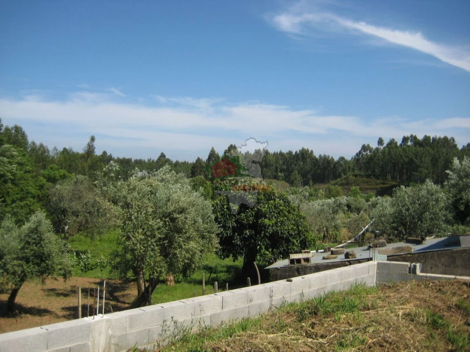 Terreno para Venda em Cabeçudo Foto 5