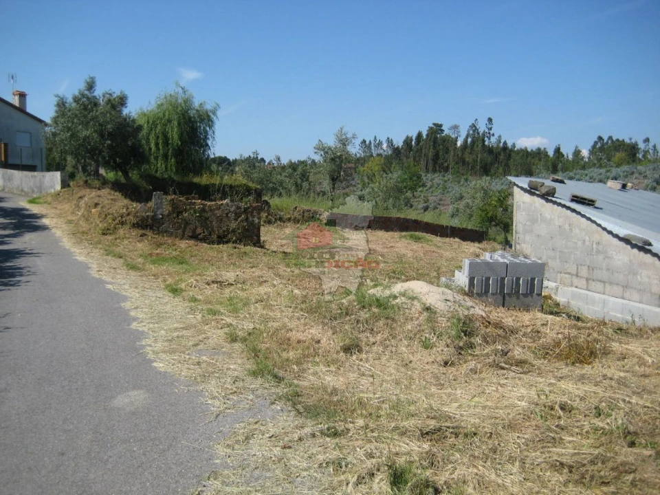 Terreno para Venda em Cabeçudo Foto 12