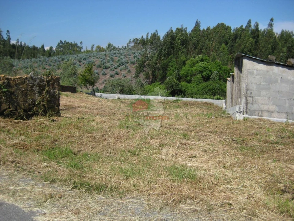Terreno para Venda em Cabeçudo Foto 13