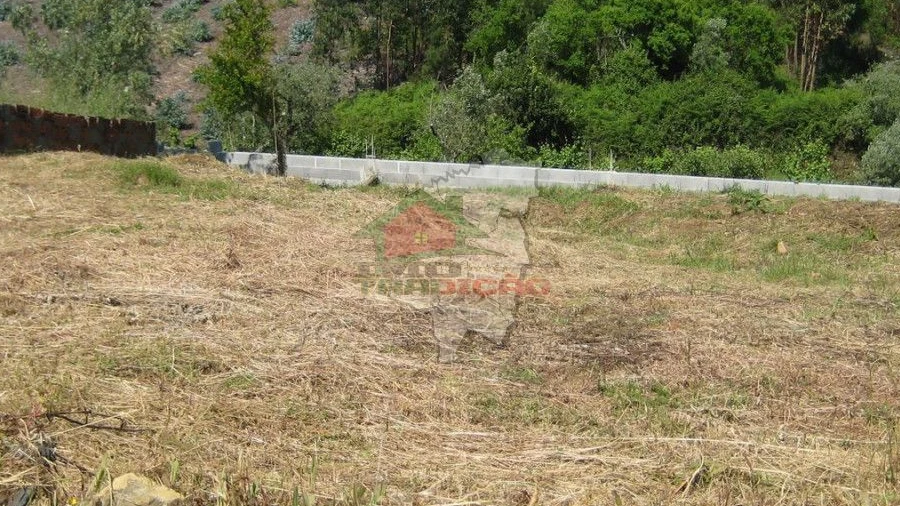 Terreno para Venda em Cabeçudo