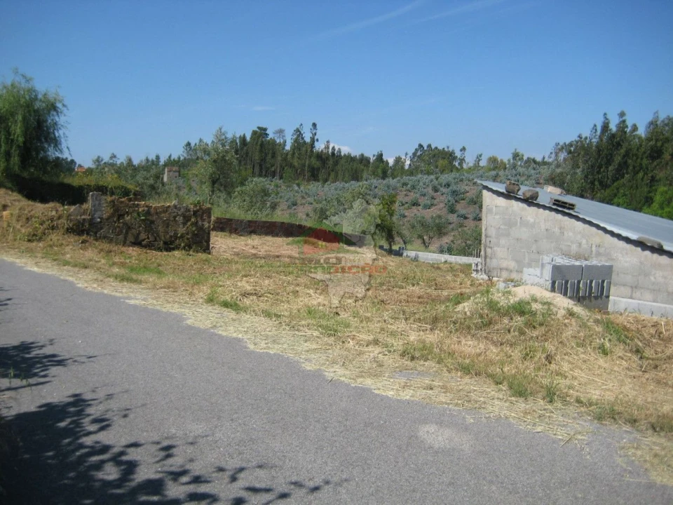 Terreno para Venda em Cabeçudo Foto 16