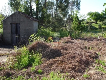 Moradia T1 para Venda em Castelo