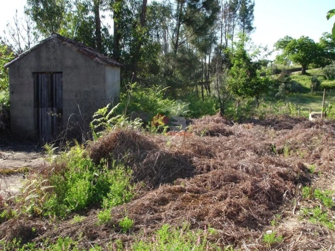 Moradia T1 para Venda em Castelo Foto 16