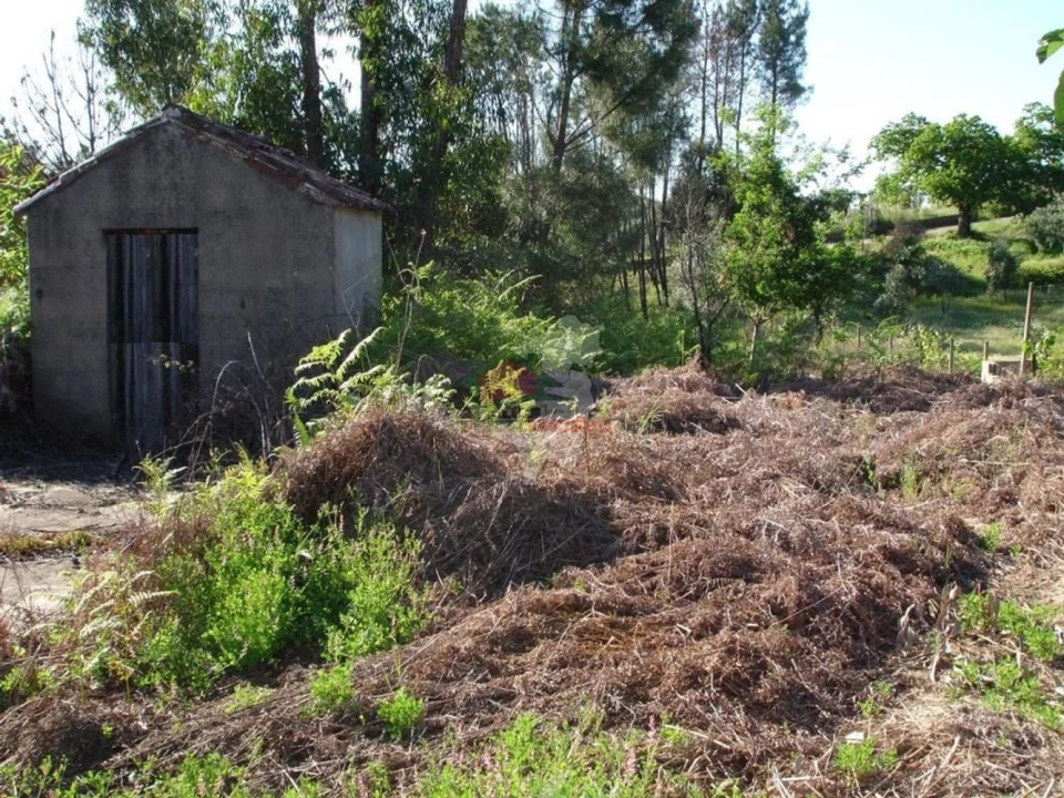 Moradia T1 para Venda em Castelo Foto 16