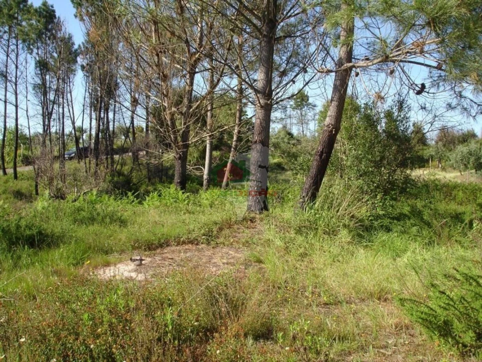 Moradia T1 para Venda em Castelo Foto 18