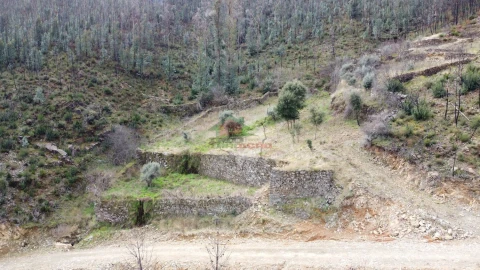 Terreno para Venda em Troviscal