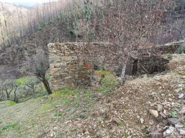 Terreno para Venda em Troviscal