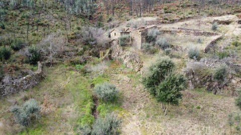 Terreno para Venda em Troviscal