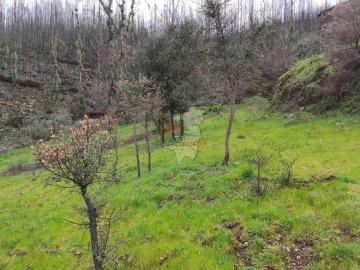 Terreno para Venda em Troviscal