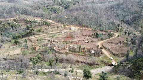 Terreno para Venda em Troviscal