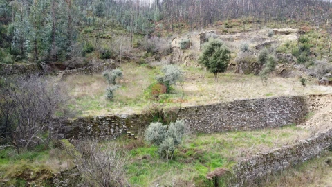 Terreno para Venda em Troviscal