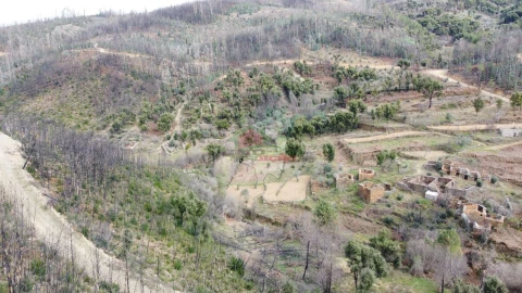 Terreno para Venda em Troviscal