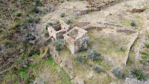 Terreno para Venda em Troviscal