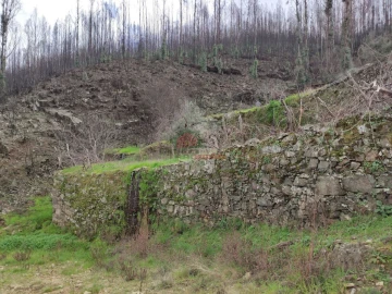 Terreno para Venda em Troviscal