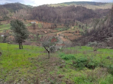 Terreno para Venda em Troviscal