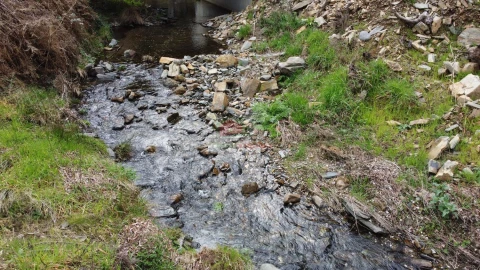 Terreno para Venda em Troviscal