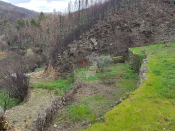 Terreno para Venda em Troviscal