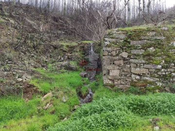 Terreno para Venda em Troviscal
