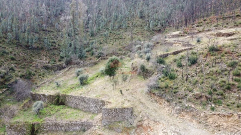 Terreno para Venda em Troviscal