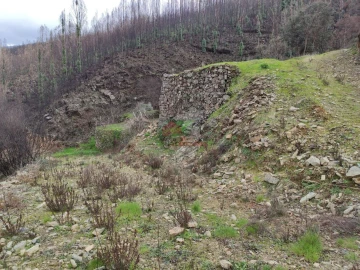 Terreno para Venda em Troviscal