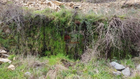 Terreno para Venda em Troviscal