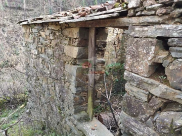 Terreno para Venda em Troviscal