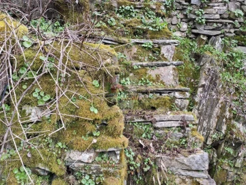 Terreno para Venda em Troviscal