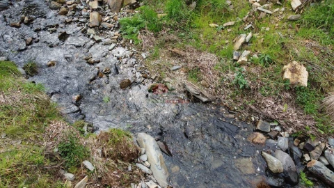 Terreno para Venda em Troviscal