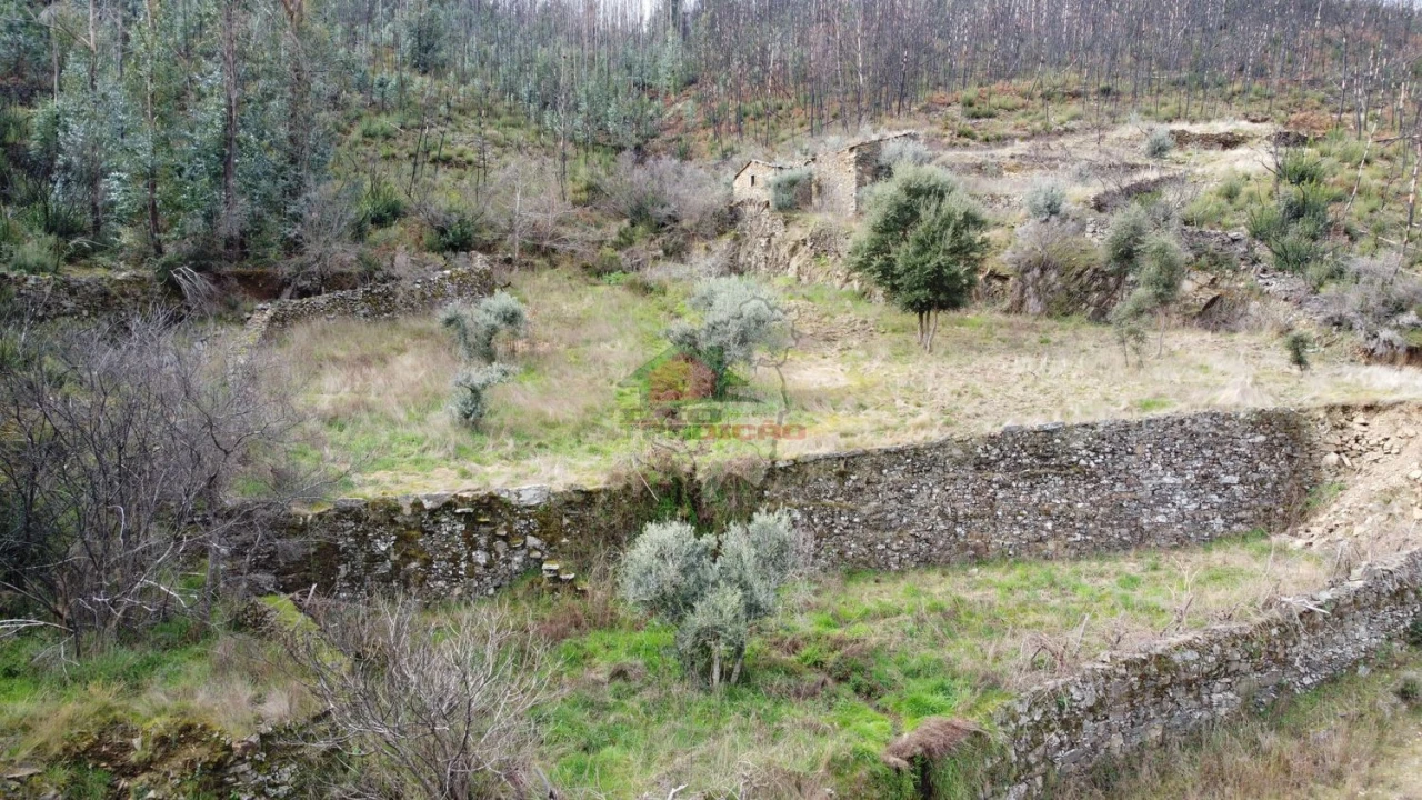 Terreno para Venda em Troviscal Foto 15