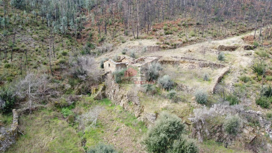 Terreno para Venda em Troviscal Foto 41