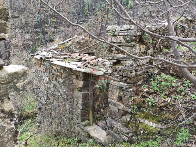 Terreno para Venda em Troviscal Foto 31