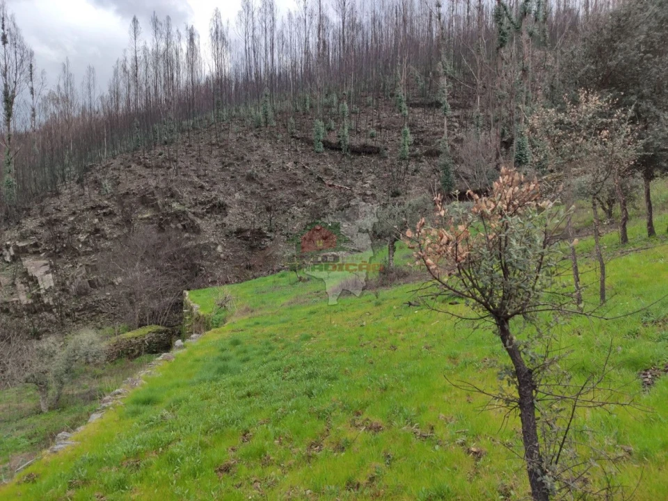 Terreno para Venda em Troviscal Foto 24
