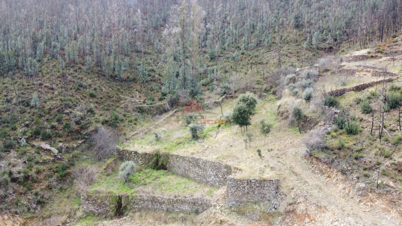 Terreno para Venda em Troviscal Foto 40