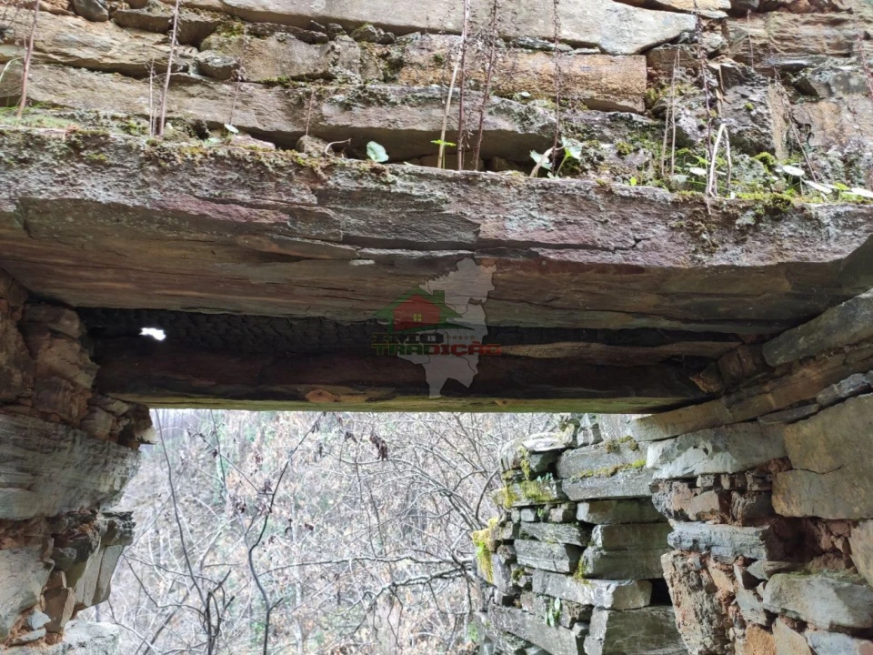 Terreno para Venda em Troviscal Foto 33