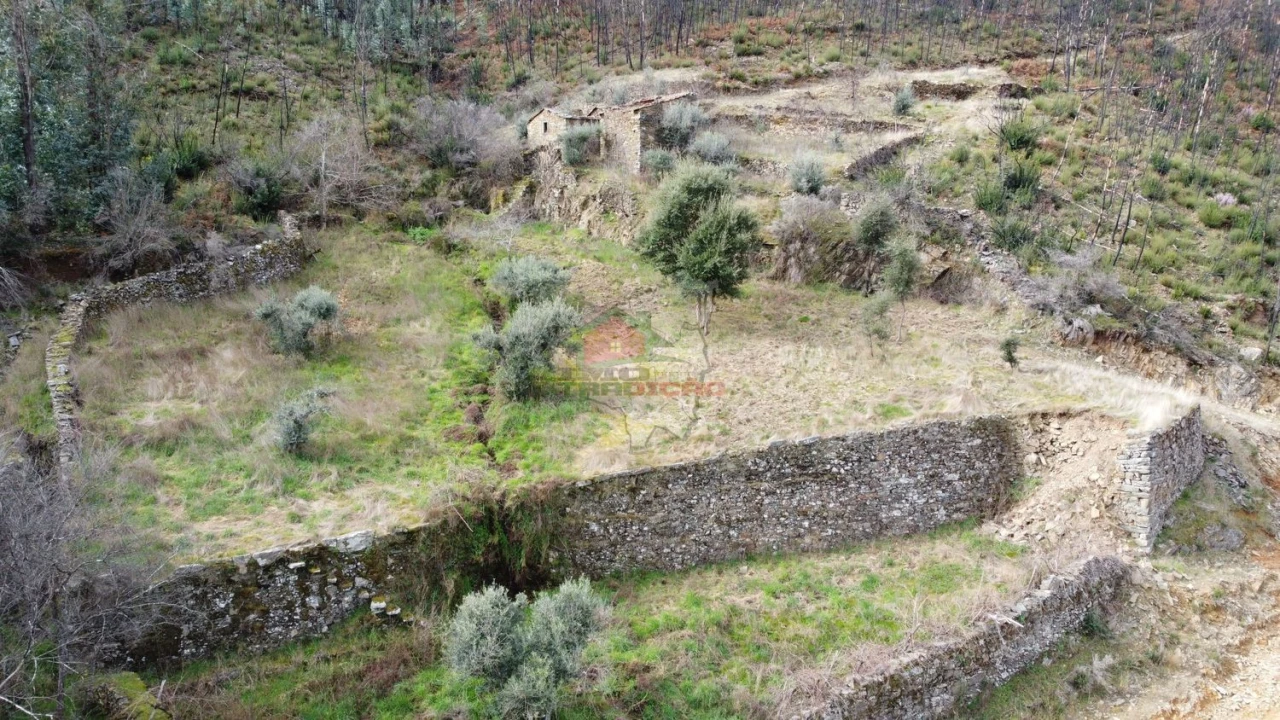 Terreno para Venda em Troviscal Foto 1